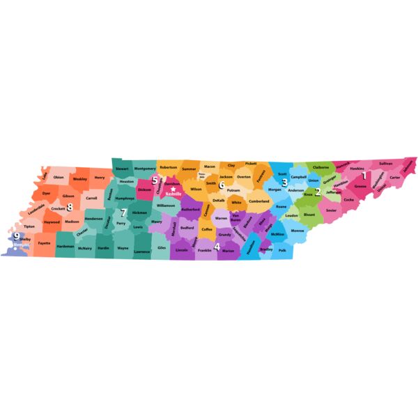 Tennessee Counties Districts Map 1 Thumbnail
