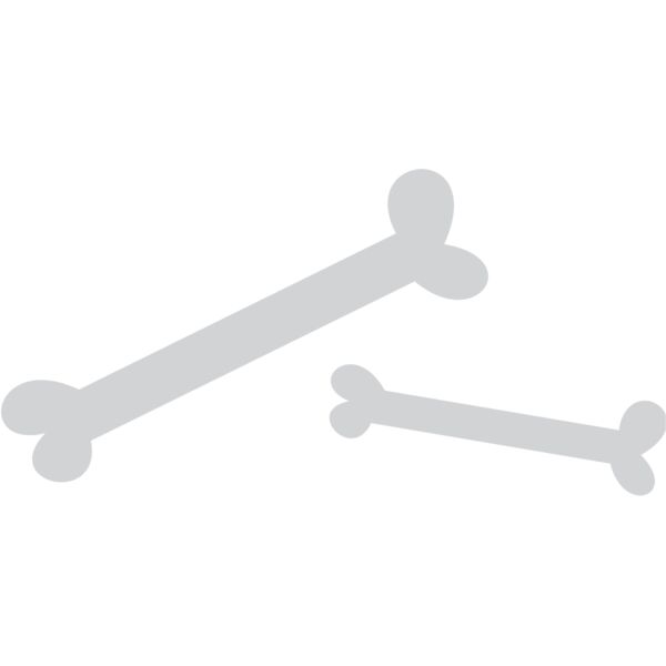 Cartoon Dinosaur Bones 1 Thumbnail