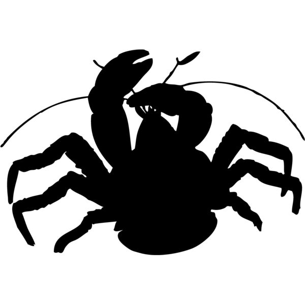 Hermit Crab Silhouette 1 Thumbnail