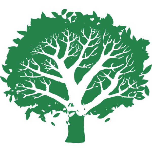 Summer Tree 8 Thumbnail