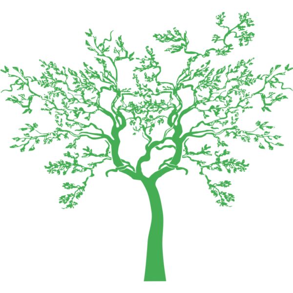 Summer Tree 1 Thumbnail