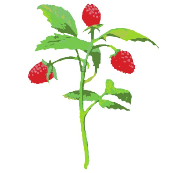 Watercolor Flower 1 Thumbnail